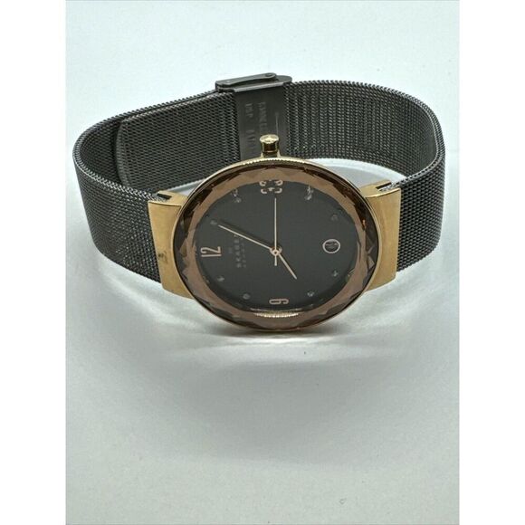 Skagen SKW2120 Women\'s Gray Stainless Steel Mesh Analog Dial Quartz Watch JNA916 main image 10